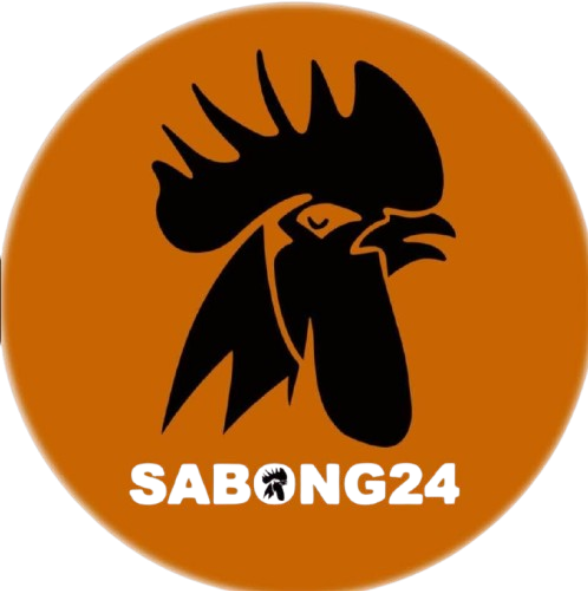 bb24tv