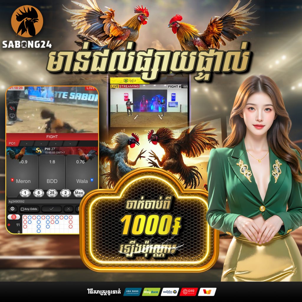bb24tv